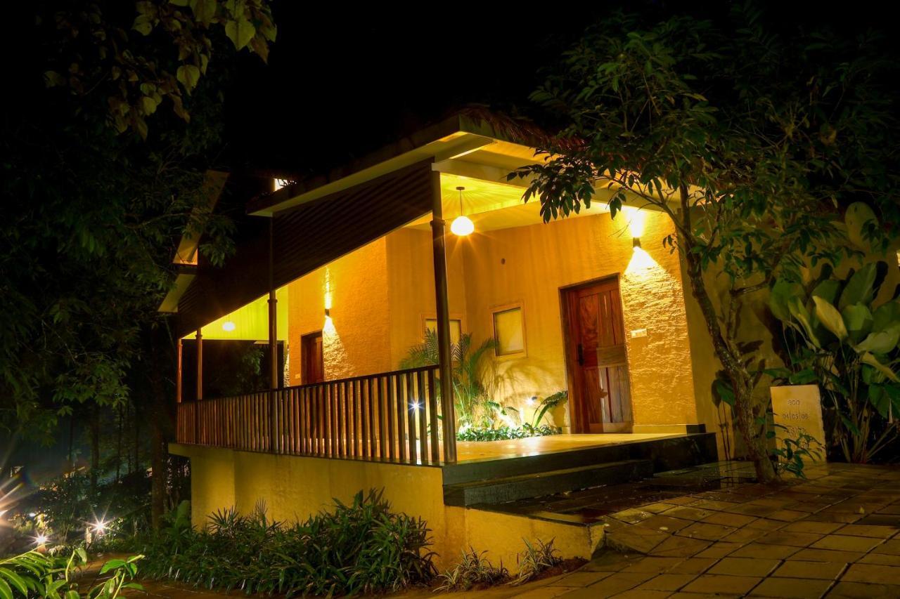 Maple Ash Resort فيثيري المظهر الخارجي الصورة